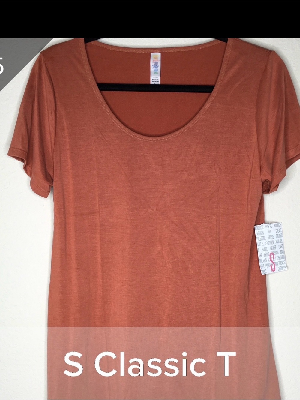 LuLaRoe Classic Scoop Neck Short Sleeve Top in Rust